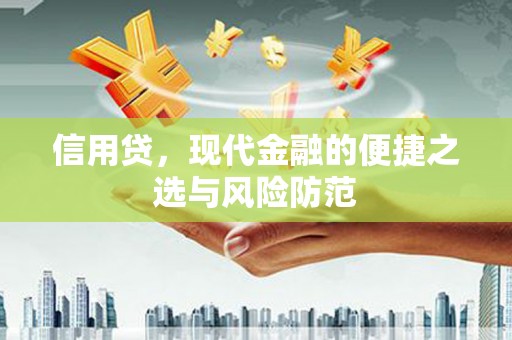 西华信用贷，现代金融的便捷之选与风险防范