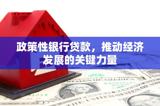 西华政策性银行贷款，推动经济发展的关键力量