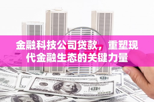 西华金融科技公司贷款，重塑现代金融生态的关键力量
