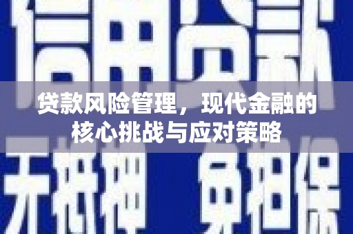 西华贷款风险管理，现代金融的核心挑战与应对策略
