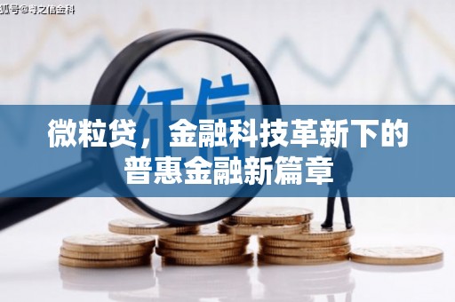 西华微粒贷，金融科技革新下的普惠金融新篇章
