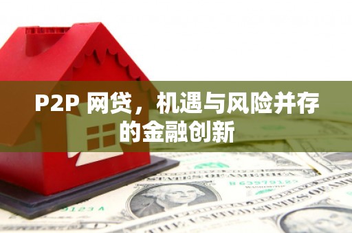 西华P2P 网贷，机遇与风险并存的金融创新