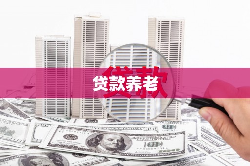 西华贷款养老