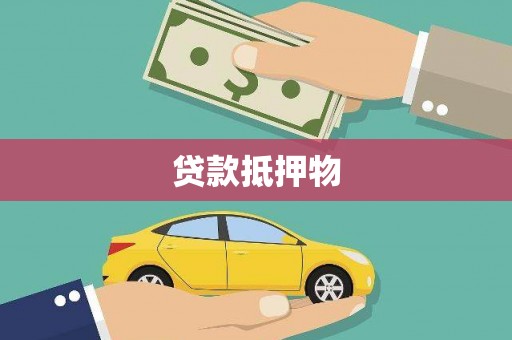 西华贷款抵押物