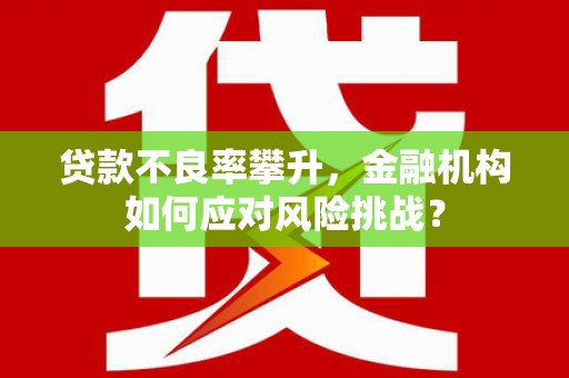 西华贷款不良率攀升，金融机构如何应对风险挑战？