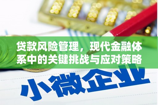 西华贷款风险管理，现代金融体系中的关键挑战与应对策略