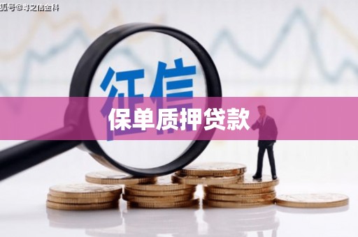 西华保单质押贷款