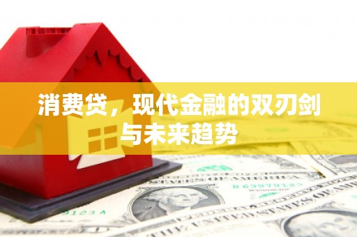 西华消费贷，现代金融的双刃剑与未来趋势