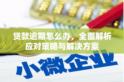西华贷款逾期怎么办，全面解析应对策略与解决方案