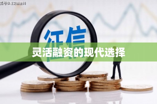 西华灵活融资的现代选择