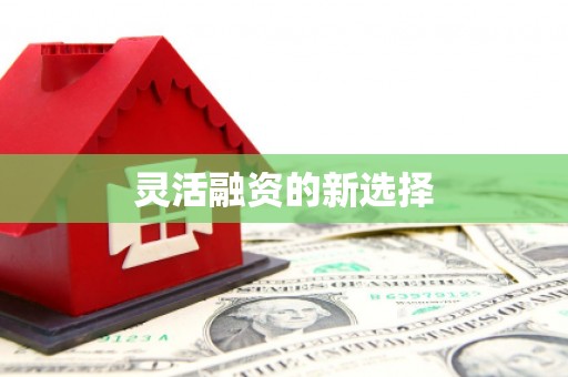 西华灵活融资的新选择