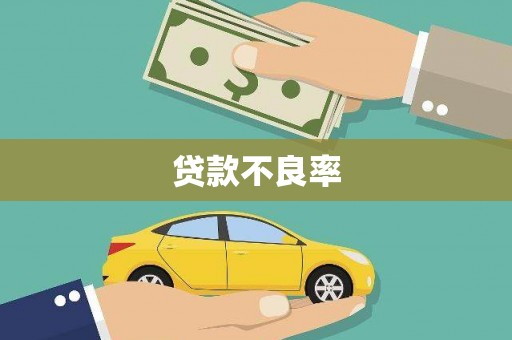 西华贷款不良率