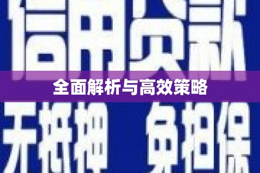 西华全面解析与高效策略