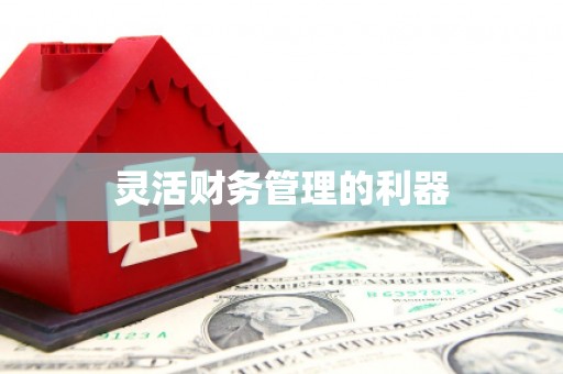 西华灵活财务管理的利器