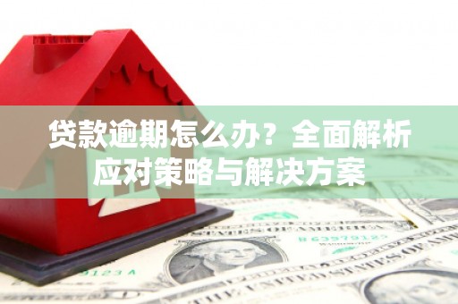 西华贷款逾期怎么办？全面解析应对策略与解决方案