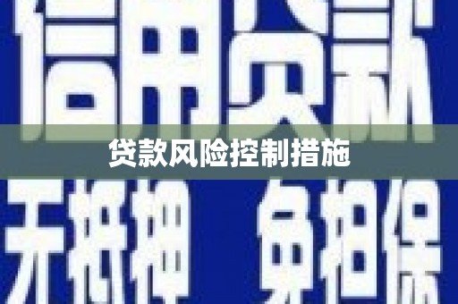 西华贷款风险控制措施