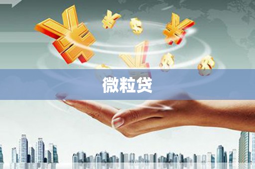 西华微粒贷