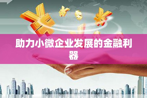 西华助力小微企业发展的金融利器