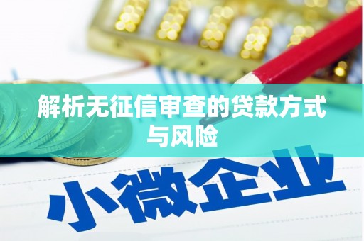 西华解析无征信审查的贷款方式与风险