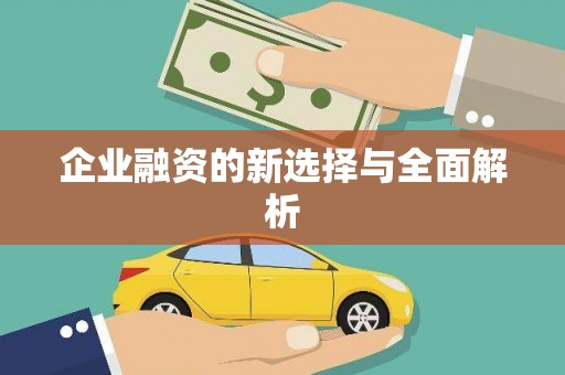 西华企业融资的新选择与全面解析
