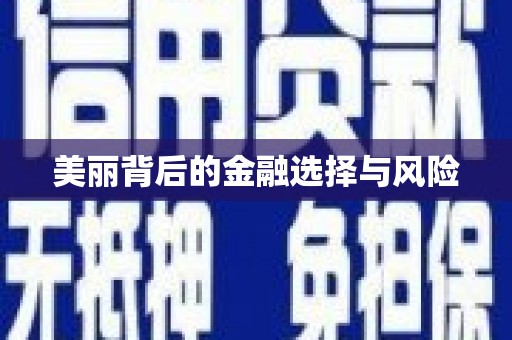 西华美丽背后的金融选择与风险