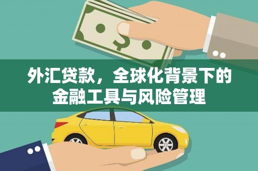 西华外汇贷款，全球化背景下的金融工具与风险管理