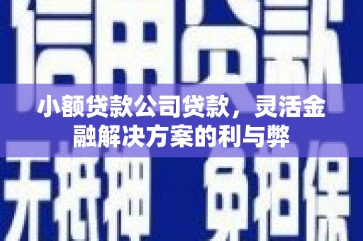 西华小额贷款公司贷款，灵活金融解决方案的利与弊