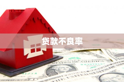 西华贷款不良率