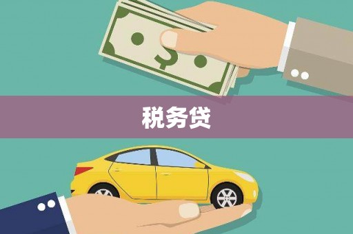 西华税务贷